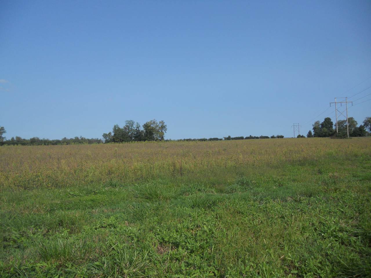 https://bt-photos.global.ssl.fastly.net/lexington/1280_boomver_2_20260305160914080125000000-2.jpg