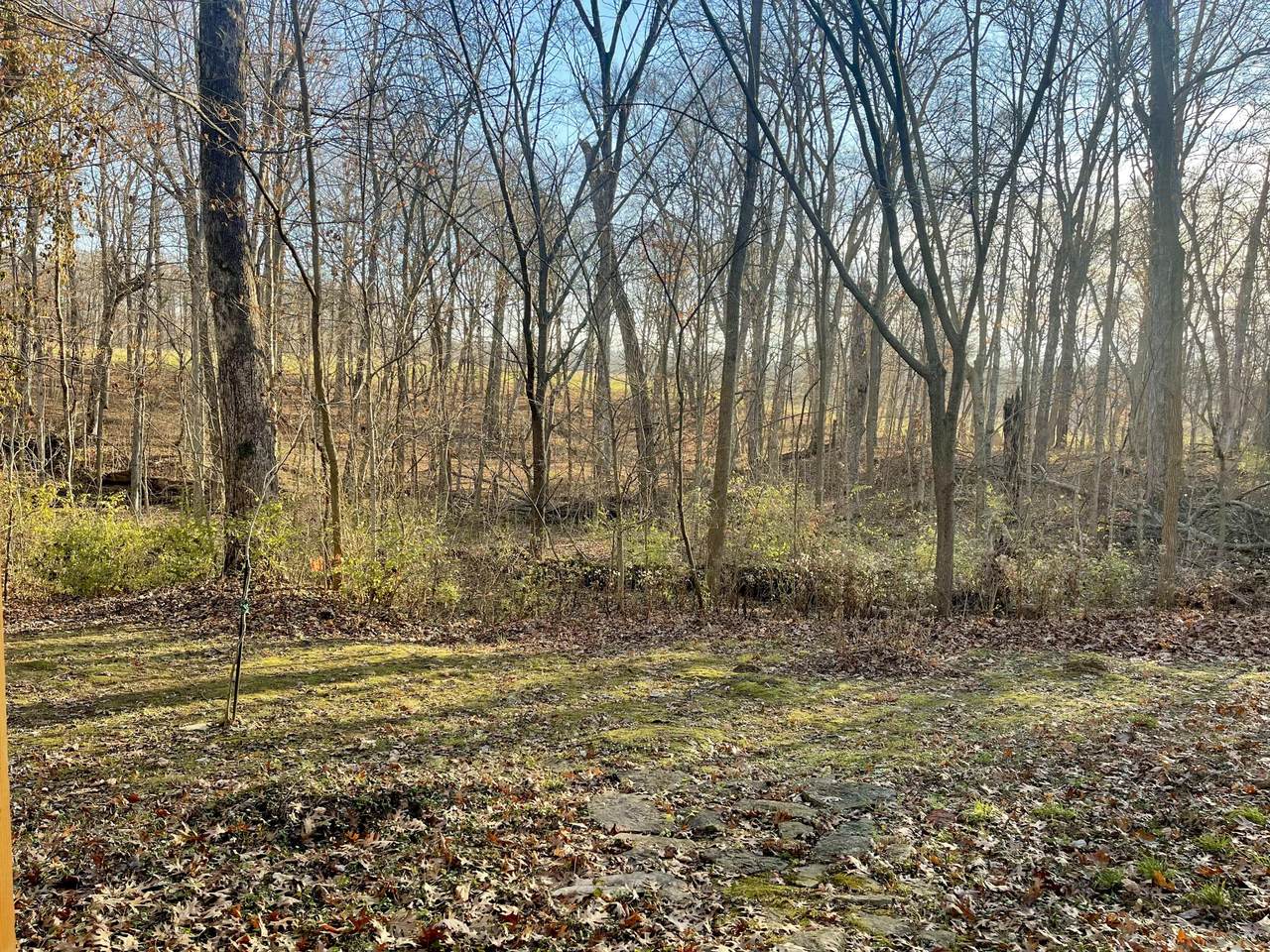 5344 Sleepy Hollow Drive - Photo 1