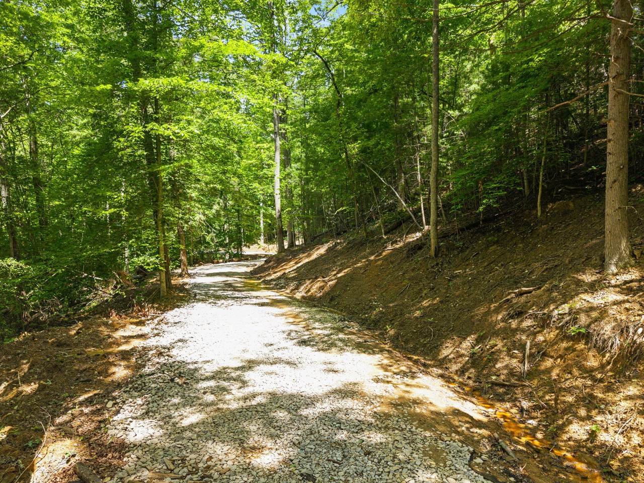 181 High Ridge Road - Photo 1