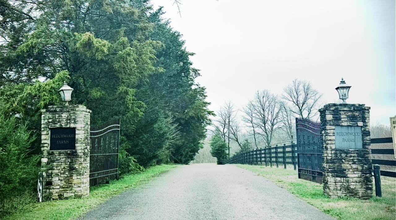 https://bt-photos.global.ssl.fastly.net/lexington/1280_boomver_2_20260309221555842973000000-2.jpg