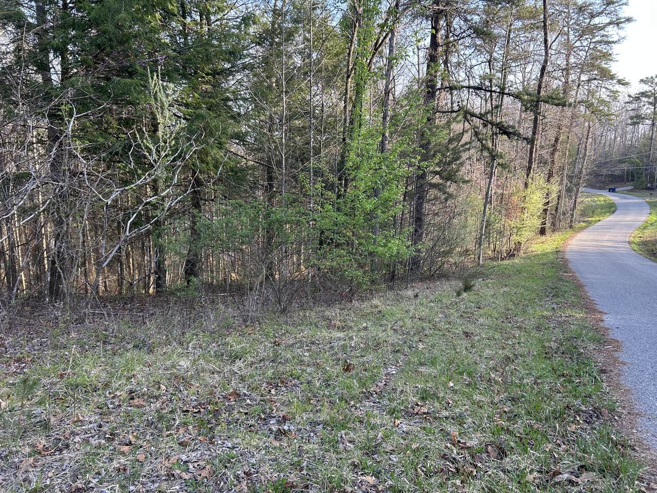 https://bt-photos.global.ssl.fastly.net/lexington/1280_boomver_2_20260311143020746017000000-2.jpg