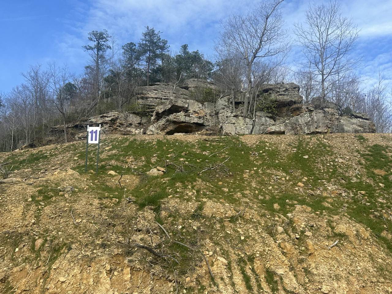 https://bt-photos.global.ssl.fastly.net/lexington/1280_boomver_2_20260322212315080499000000-2.jpg