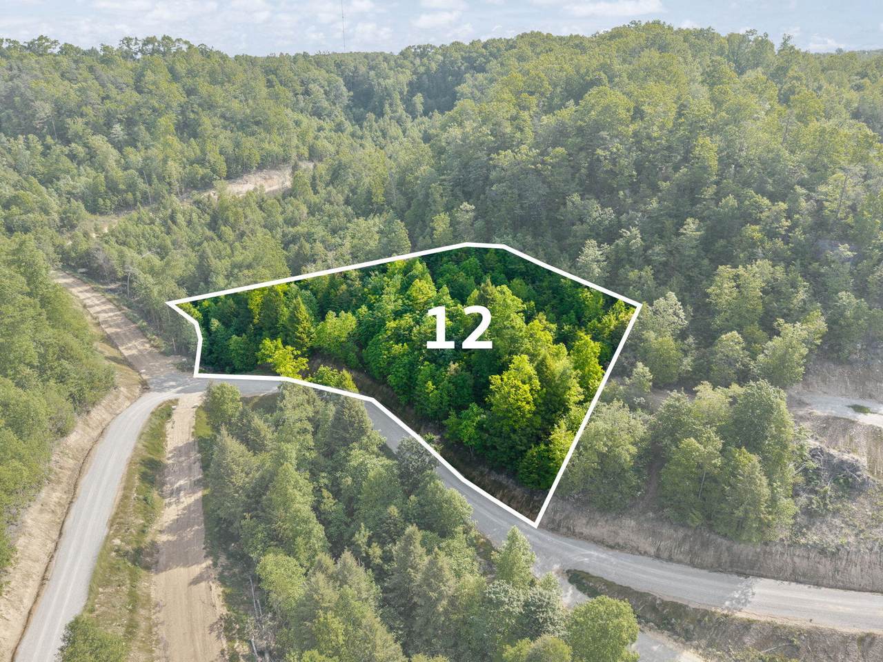 Lot 12 Sleepy Hollow Road - Photo 1