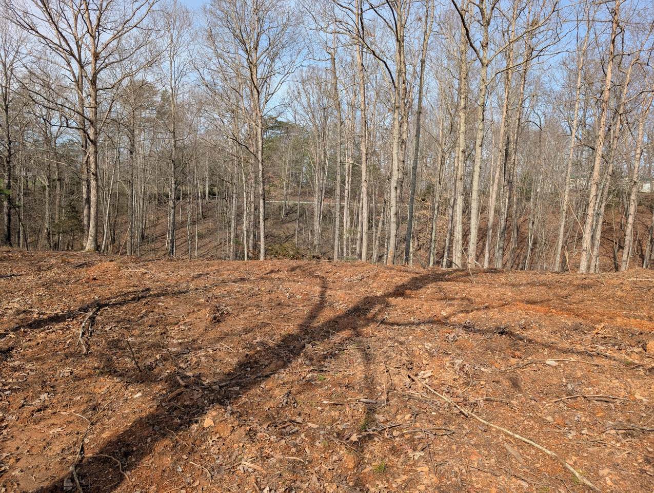 https://bt-photos.global.ssl.fastly.net/lexington/1280_boomver_1_20260323143419993540000000-2.jpg