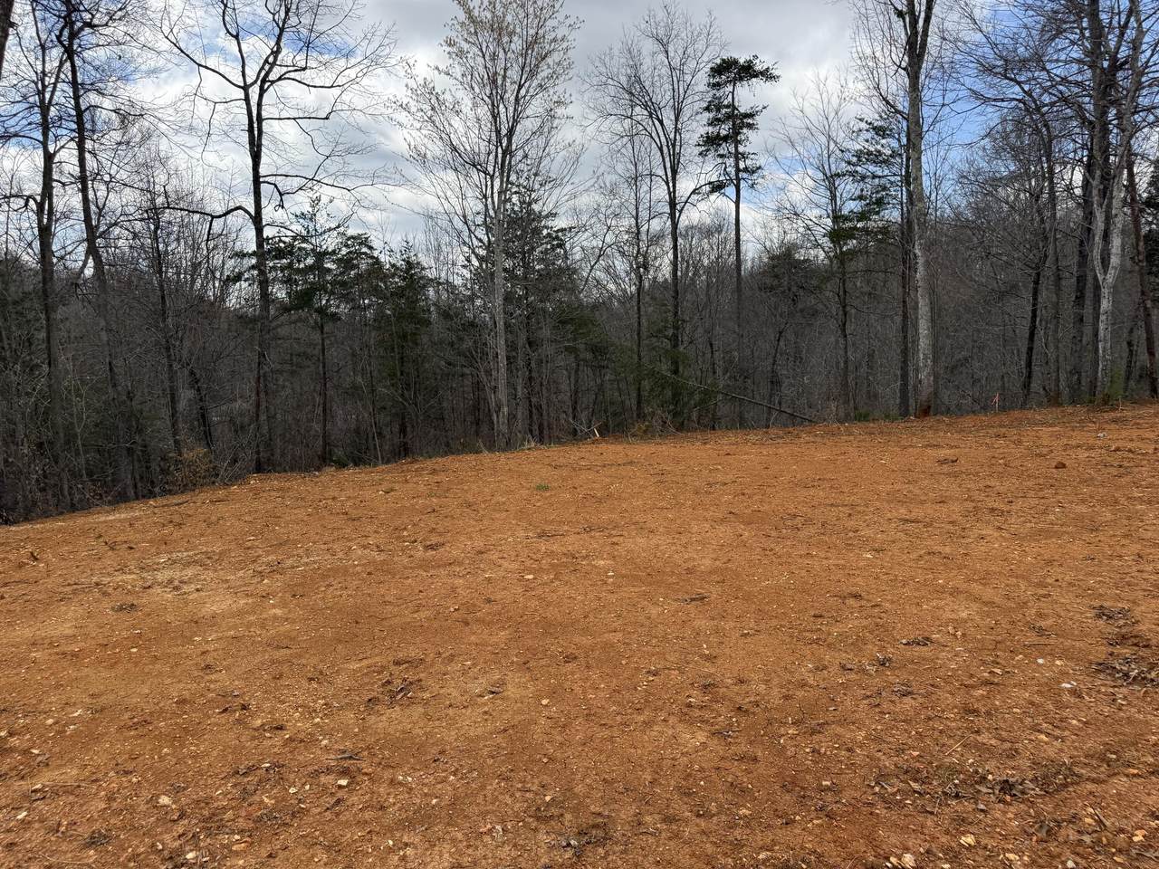 Lot 3 Phase 2 Stearns Hollow Road - Photo 1