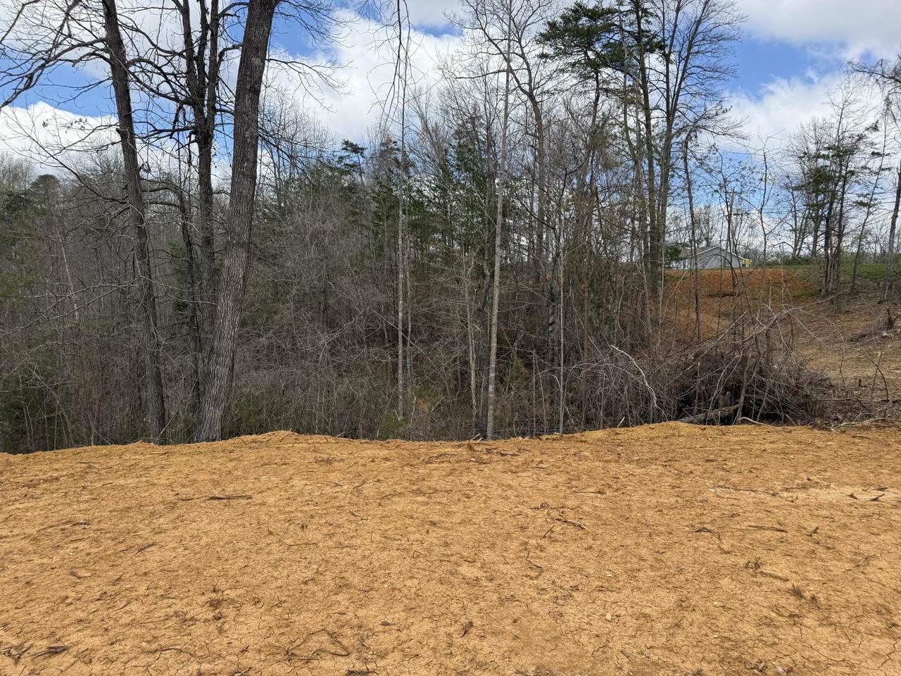 Lot 5 Phase 2 Stearns Hollow Road - Photo 1