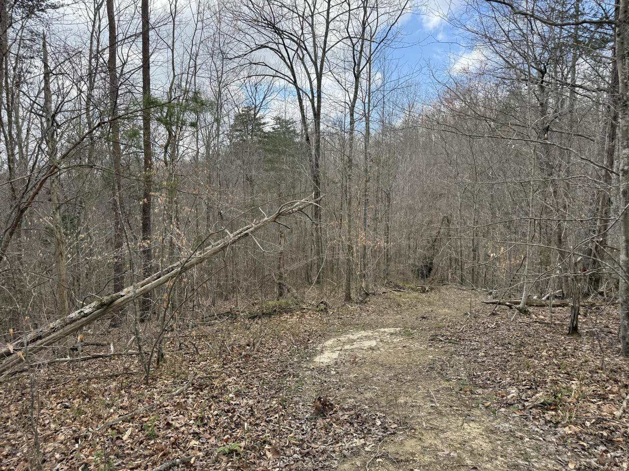 Lot 9 Phase 2 Stearns Hollow Road - Photo 1