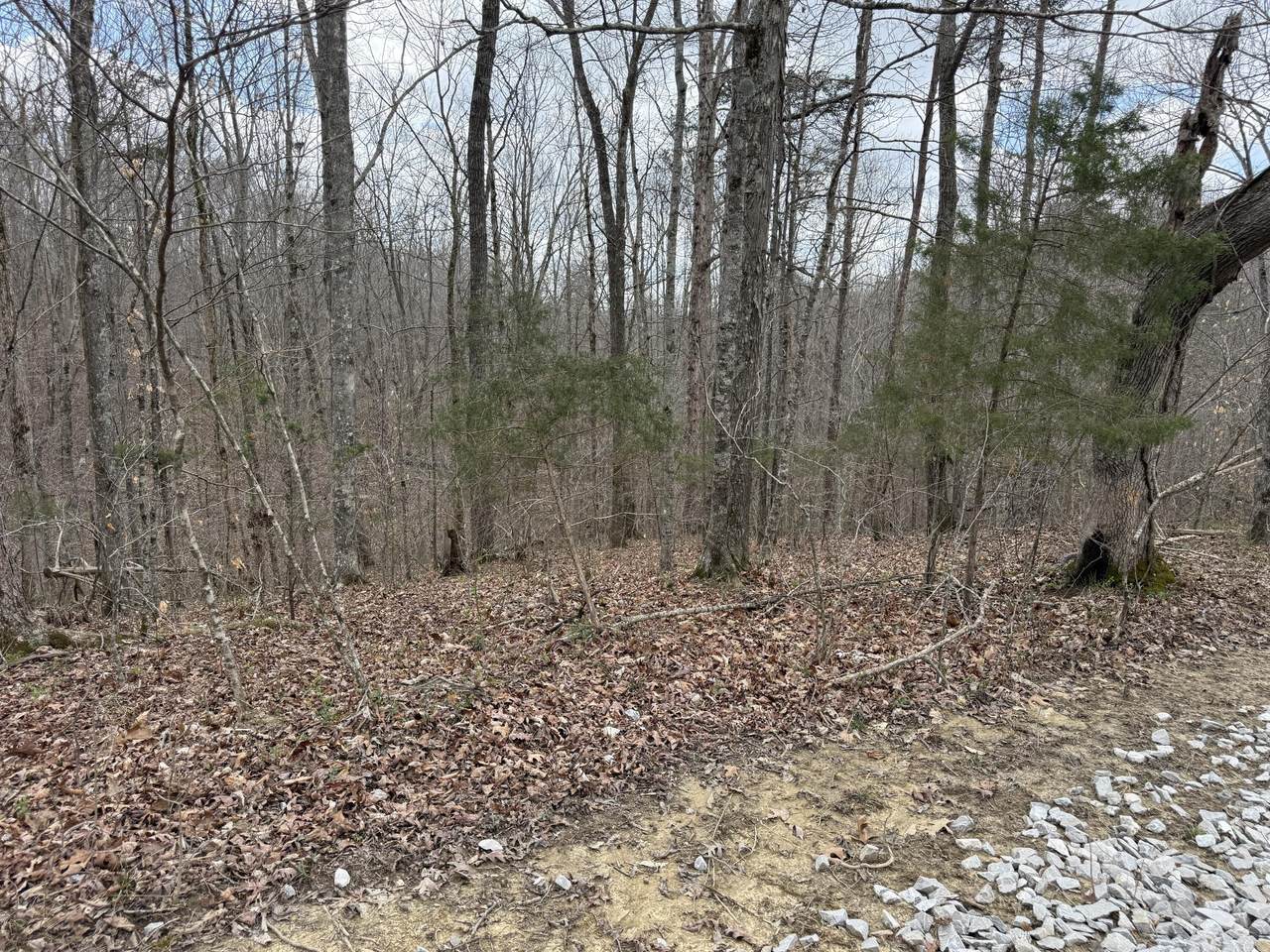 https://bt-photos.global.ssl.fastly.net/lexington/1280_boomver_2_20260323183607782371000000-2.jpg