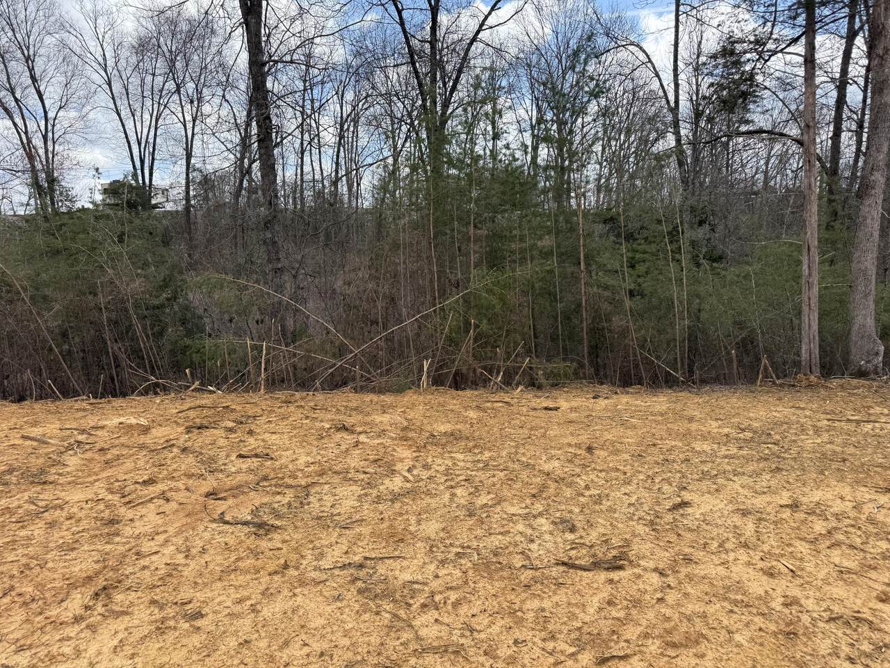 Lot 10 Phase 2 Stearns Hollow Road - Photo 1