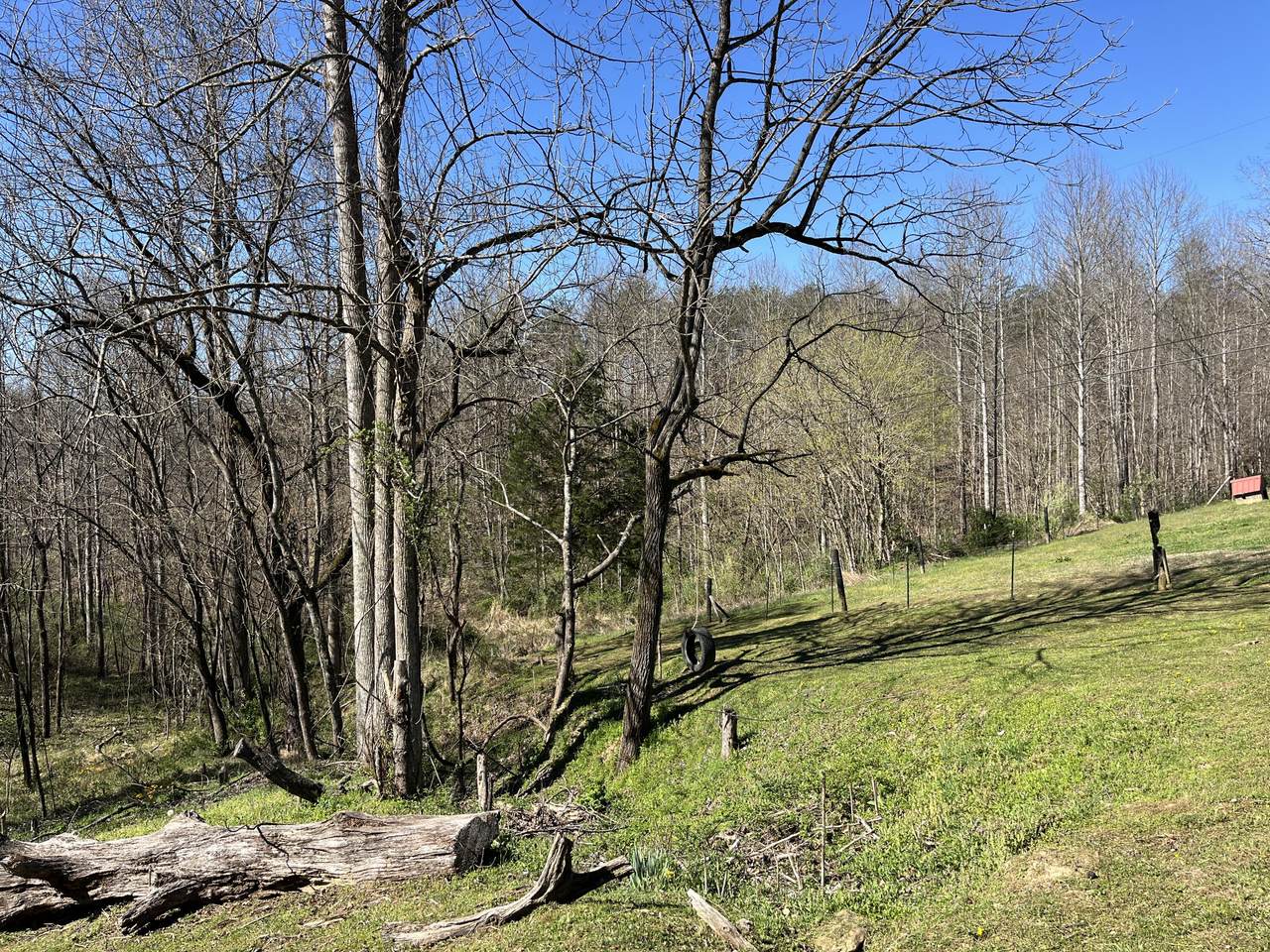 617 Walk Log Branch Road - Photo 1