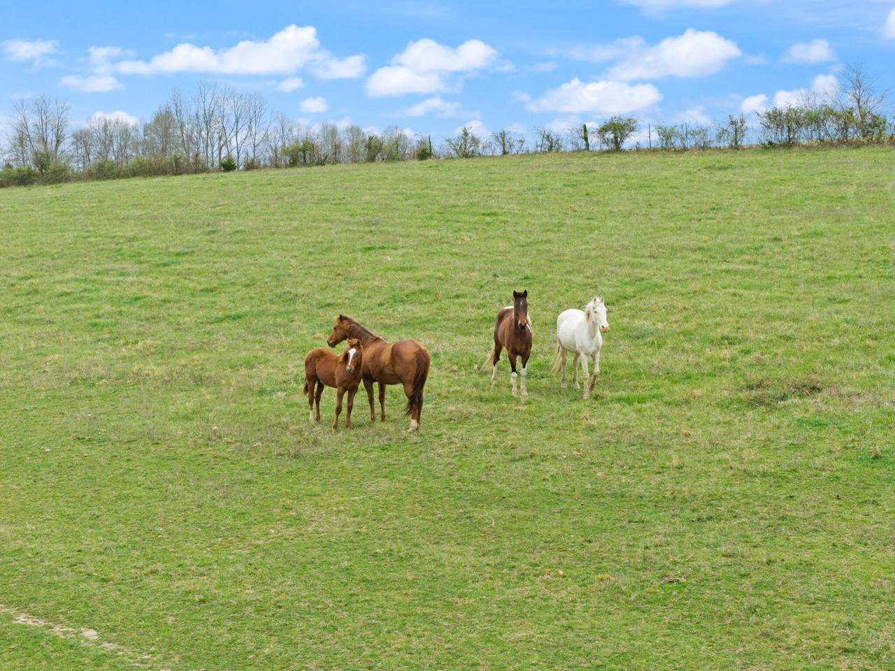 https://bt-photos.global.ssl.fastly.net/lexington/1280_boomver_2_20260326021524876021000000-2.jpg