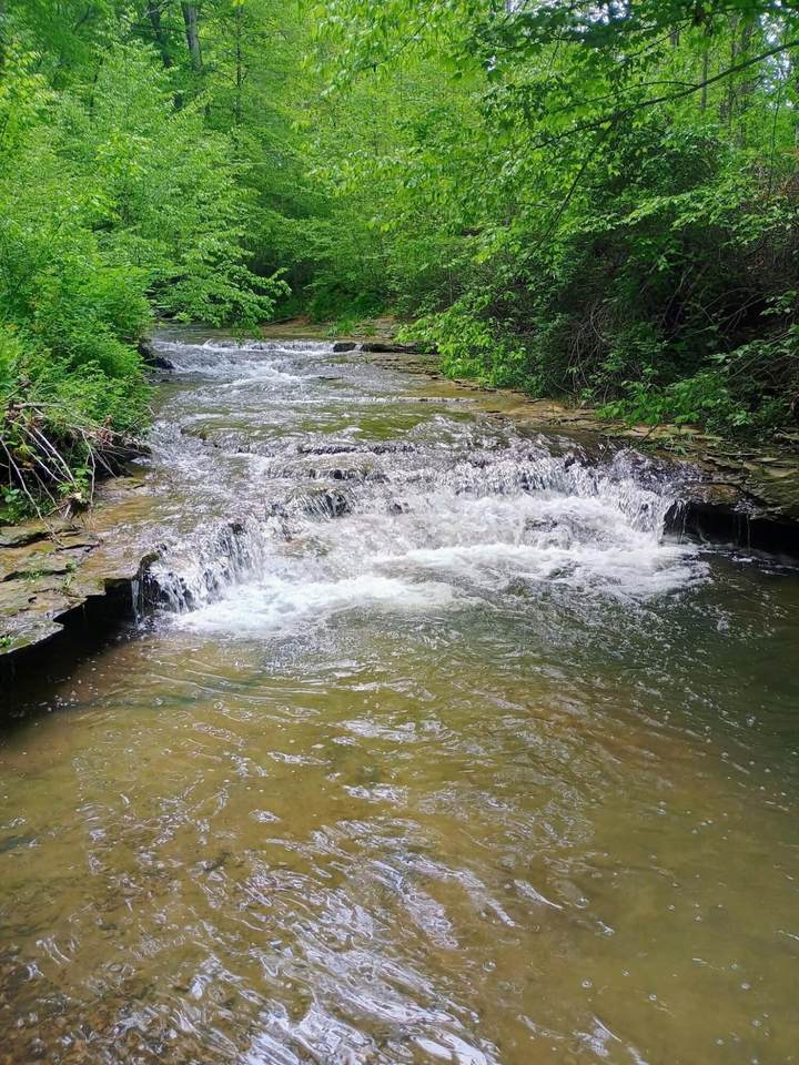 495 Clear Fork Branch Road - Photo 1