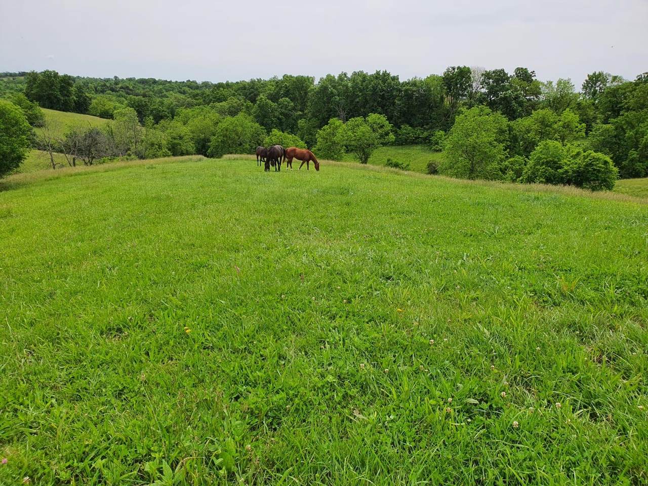 https://bt-photos.global.ssl.fastly.net/lexington/1280_boomver_2_20260328165527122384000000-2.jpg