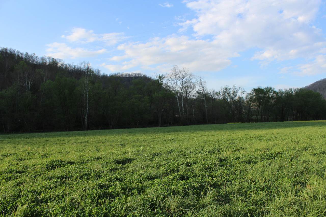 https://bt-photos.global.ssl.fastly.net/lexington/1280_boomver_2_20260402150834100422000000-2.jpg