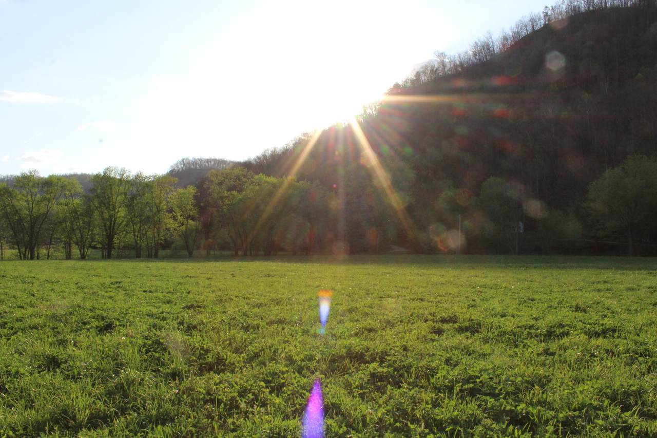 https://bt-photos.global.ssl.fastly.net/lexington/1280_boomver_2_20260402150834100422000000-2.jpg