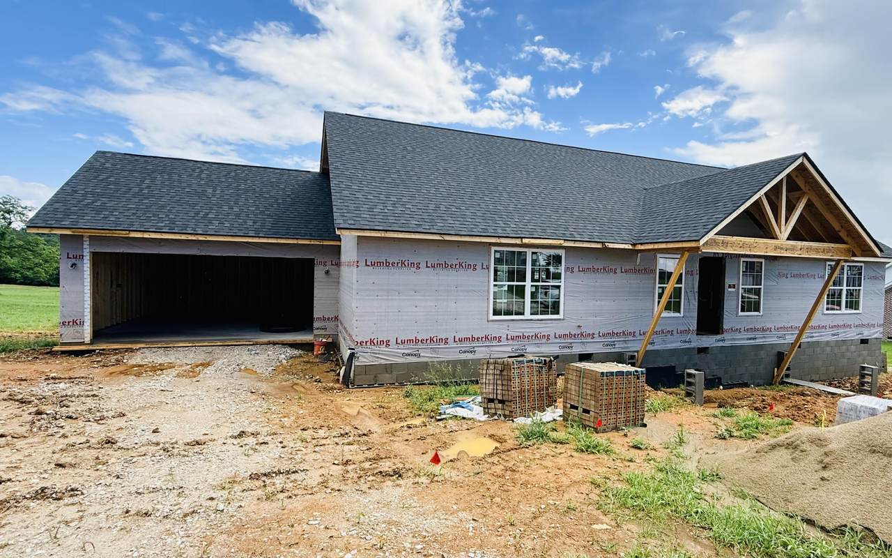 204 Mc Call Lane - Photo 1