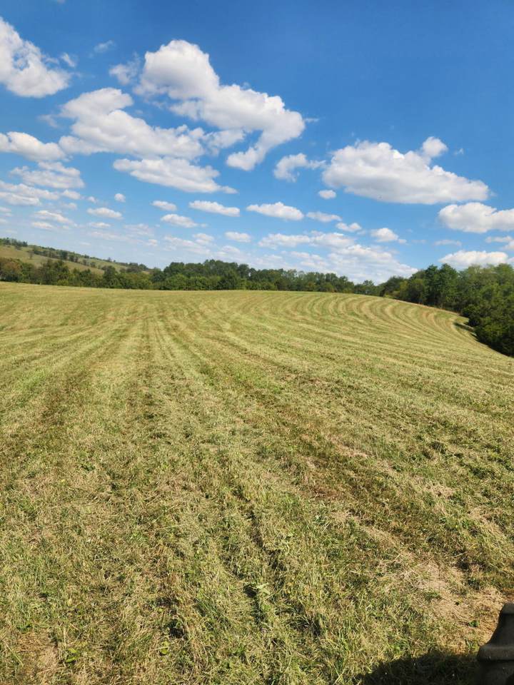 Lot 2B Rock Ridge Road - Photo 1