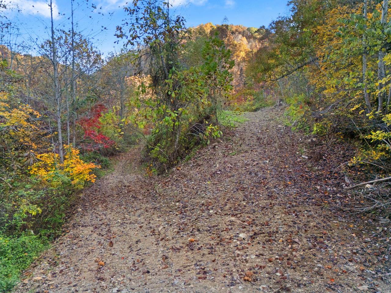 https://bt-photos.global.ssl.fastly.net/lexington/1280_boomver_2_20260420235734926359000000-2.jpg