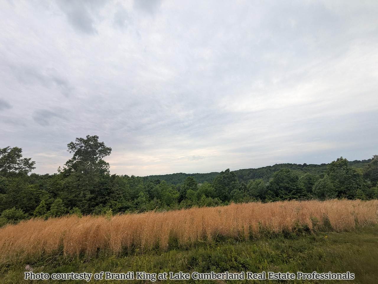 2455 Pierson Fork Road - Photo 1