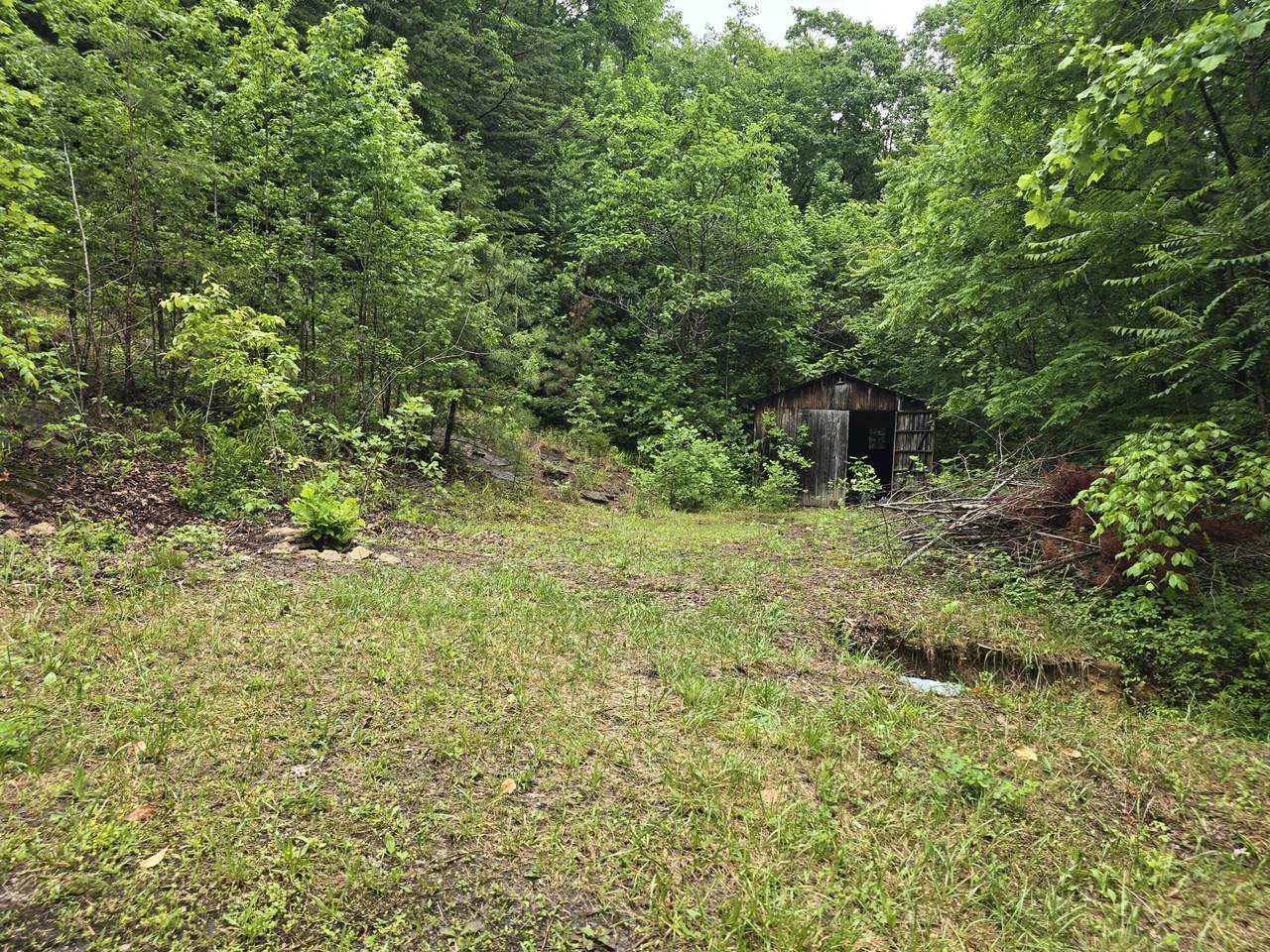 36 Us Hwy 119 - Photo 1