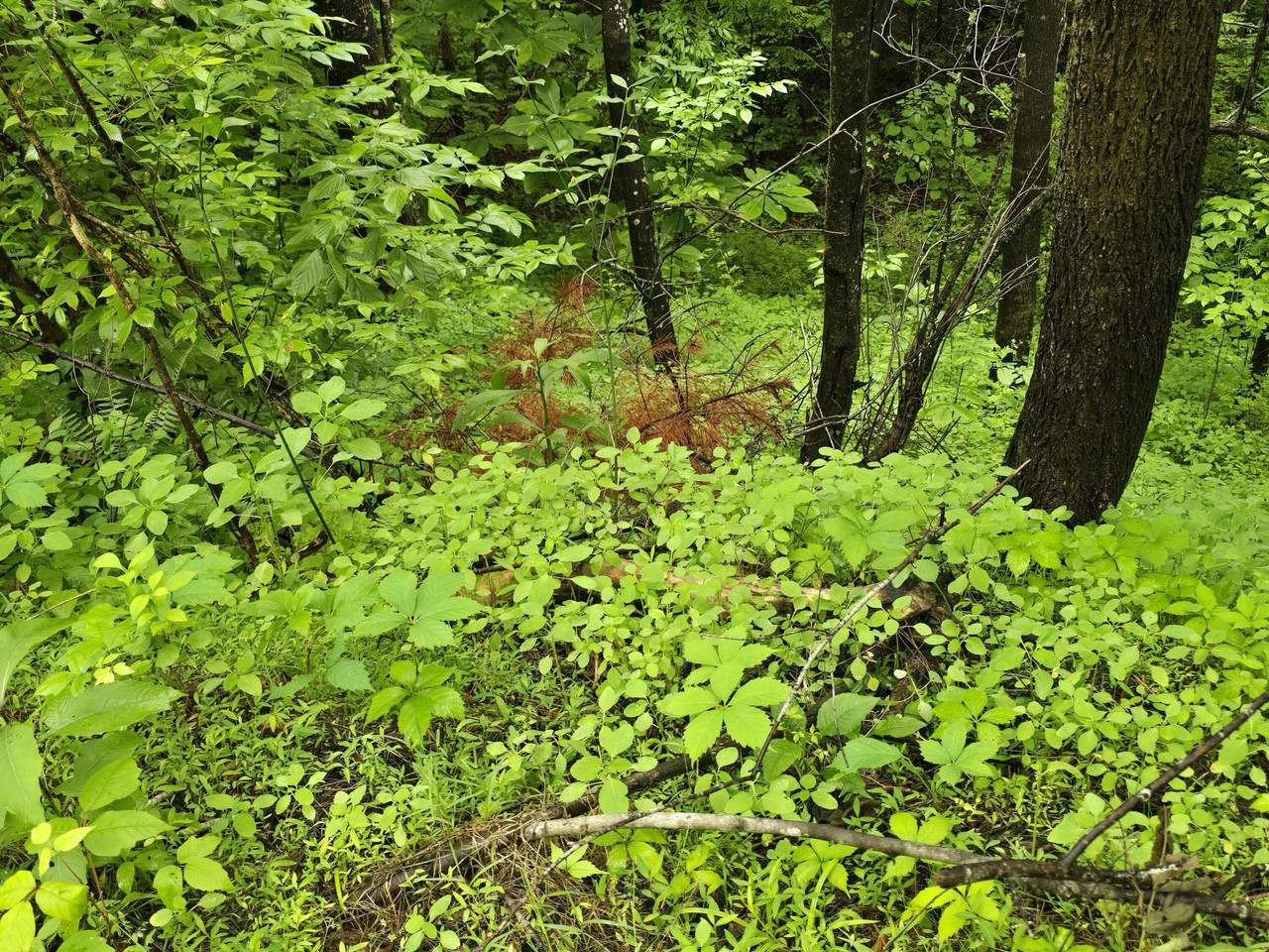 https://bt-photos.global.ssl.fastly.net/lexington/1280_boomver_2_20260511182949228231000000-2.jpg