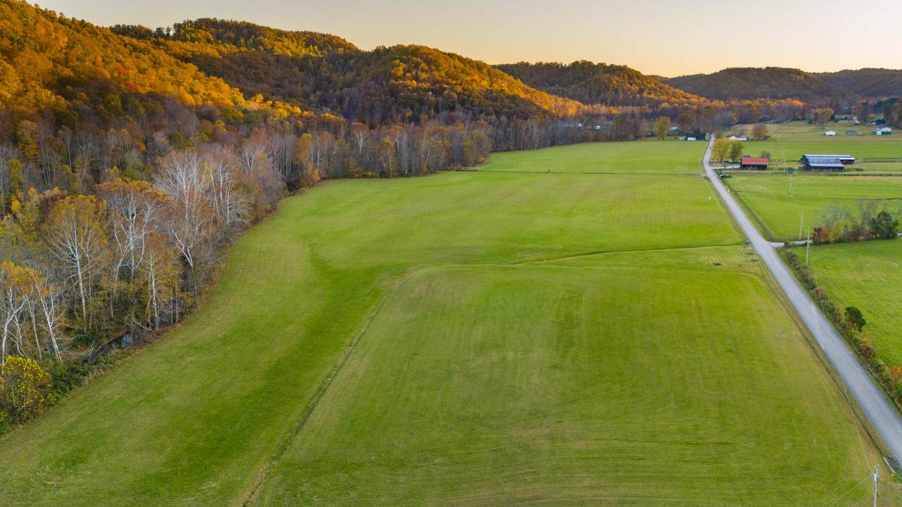 1037 Big Salt Lick Creek Road - Photo 1