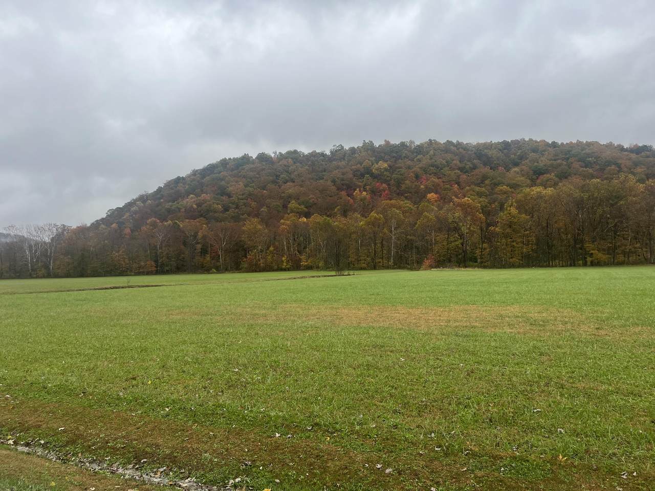 https://bt-photos.global.ssl.fastly.net/lexington/1280_boomver_2_20260512225542379881000000-2.jpg