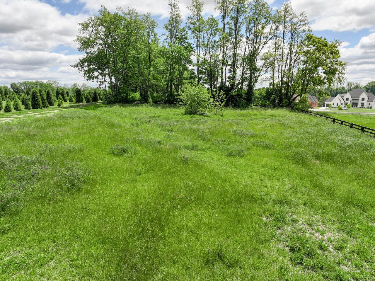 1440 Deer Haven Lane - Photo 1