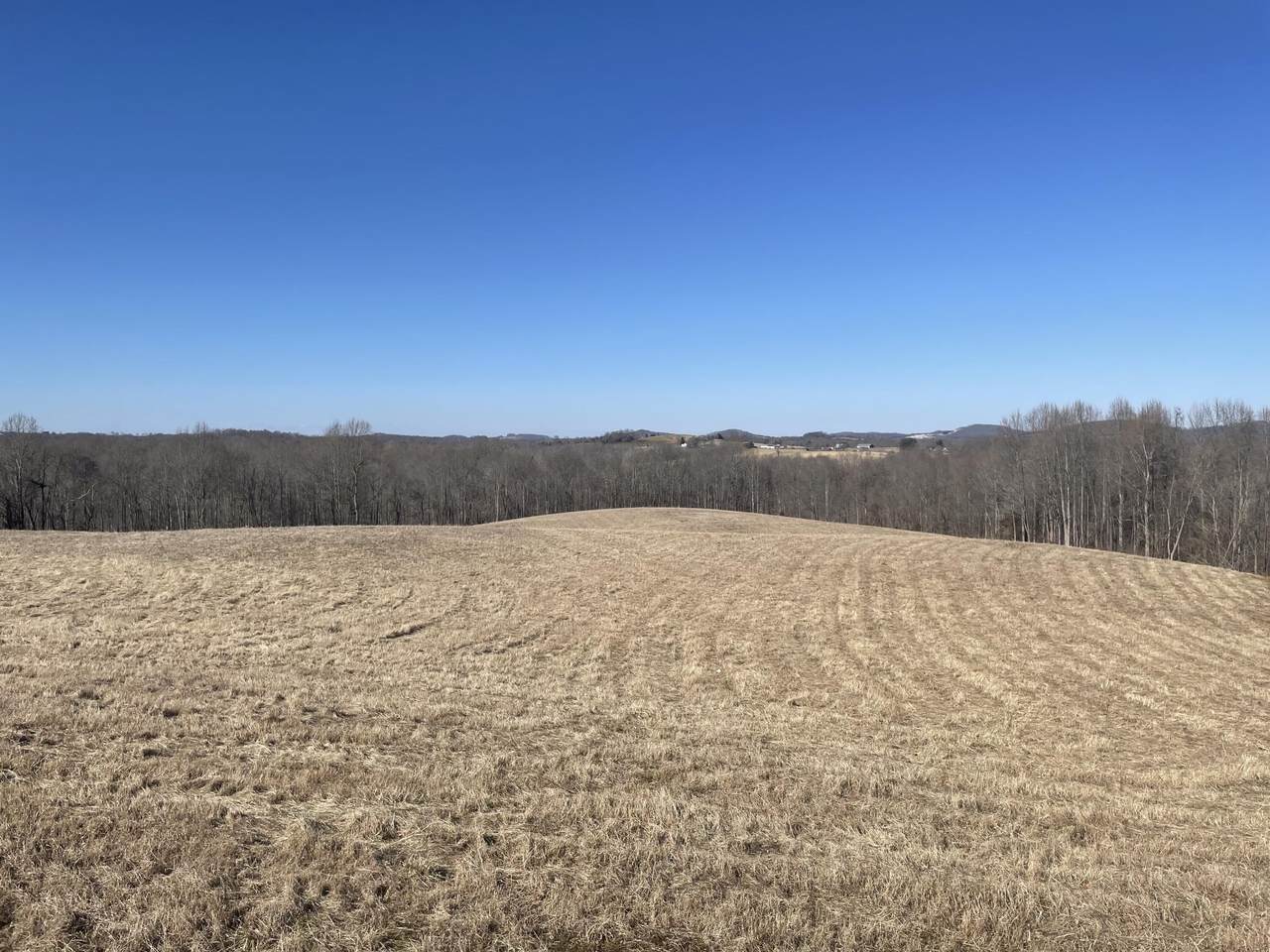 399 Cal Wiles Road - Photo 1