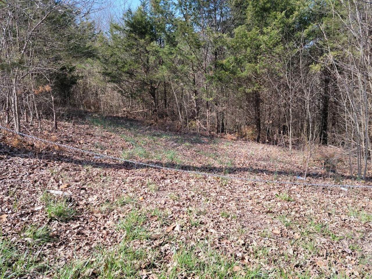 0 Union Ridge Road - Photo 1