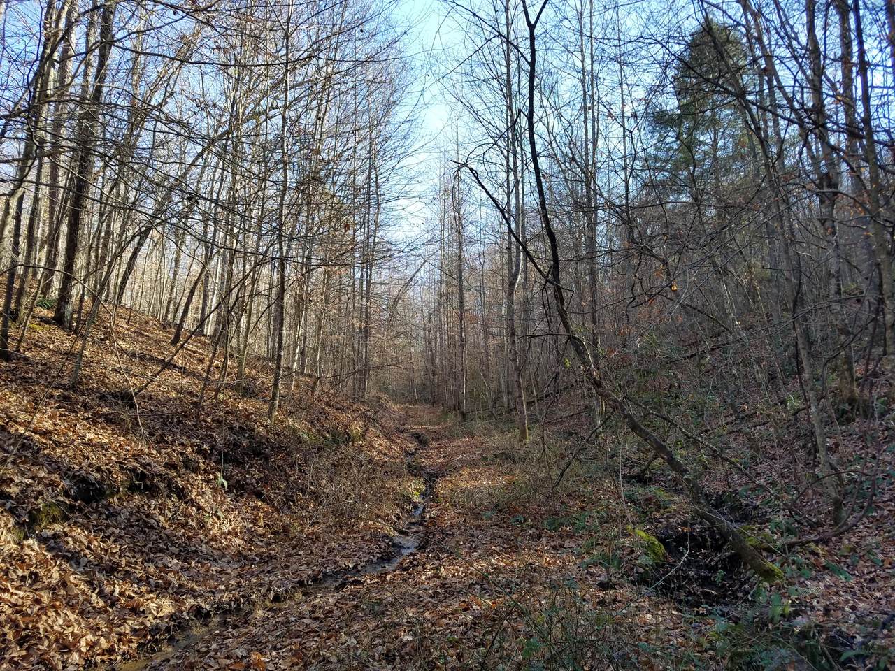 115 Kidd Road - Photo 1