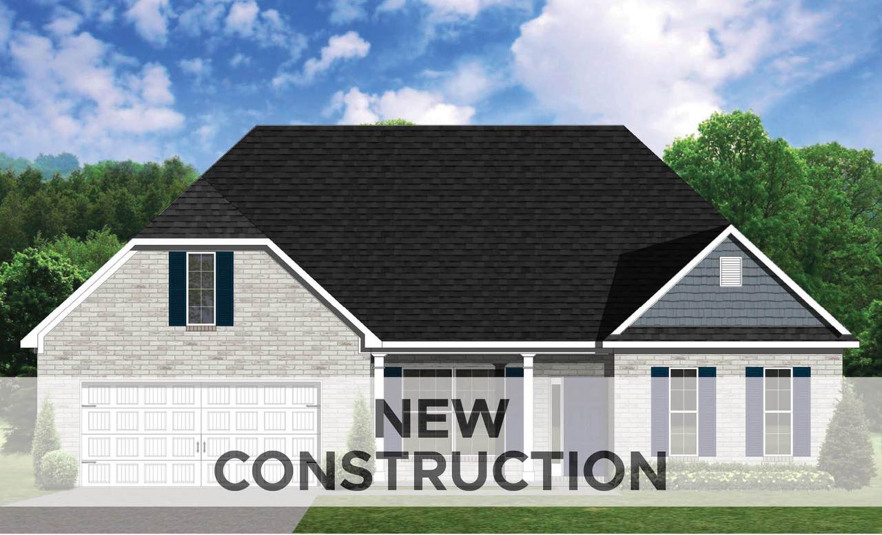 641 Snowy Egret Way - Photo 1