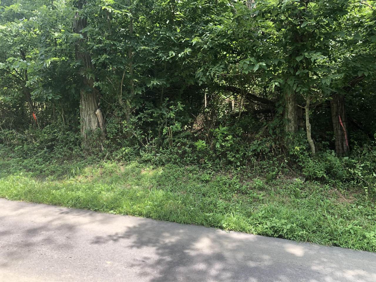 609 Sulphur Wells Road - Photo 1