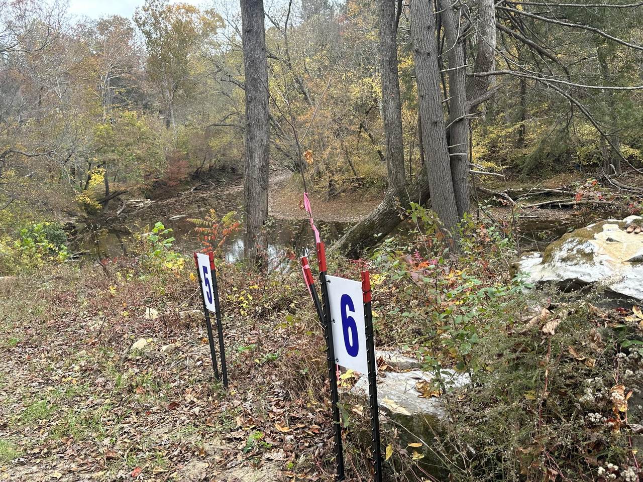 lot 5 Baldwin Road - Photo 1