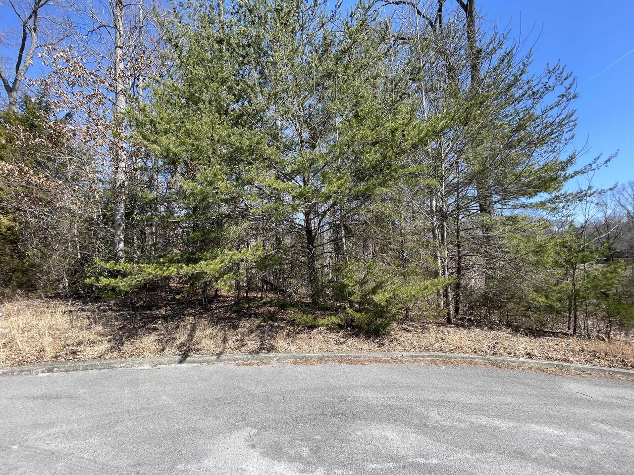 745 Water Cliff Drive - Photo 1