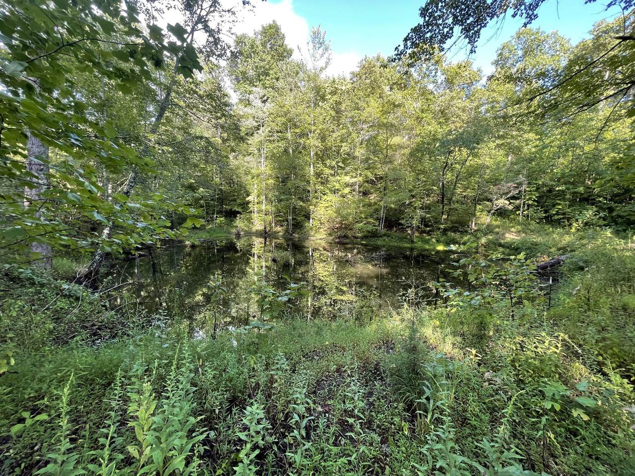 1208 Huckleberry Fork Road - Photo 1