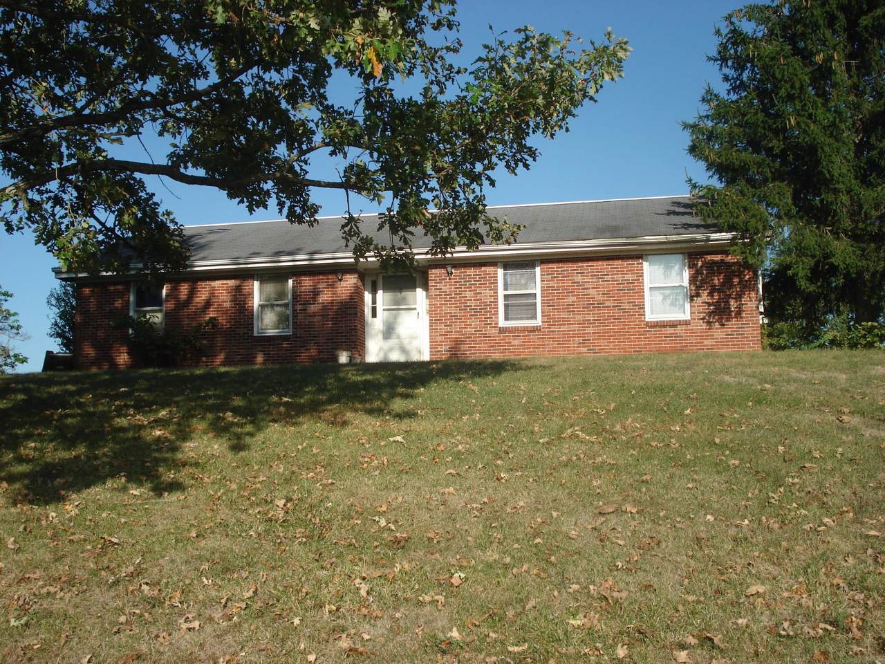 331 Dogwalk Road - Photo 1