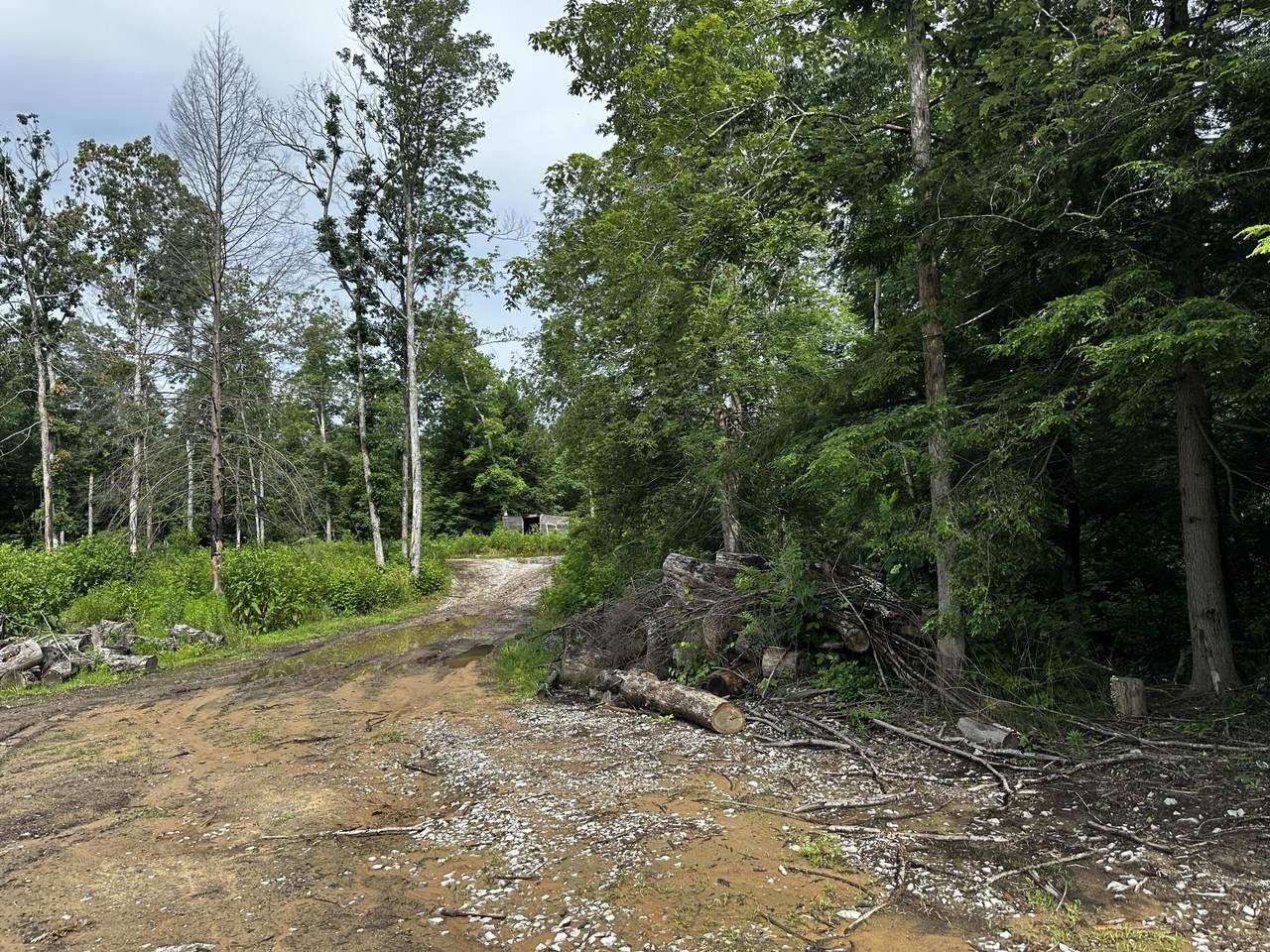 9999 Spruce Creek Road - Photo 1