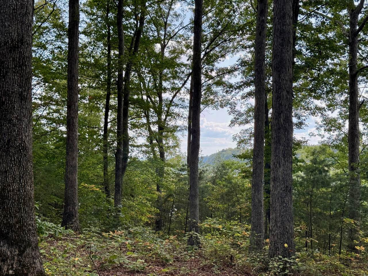 80 Paradise Alley - Photo 1