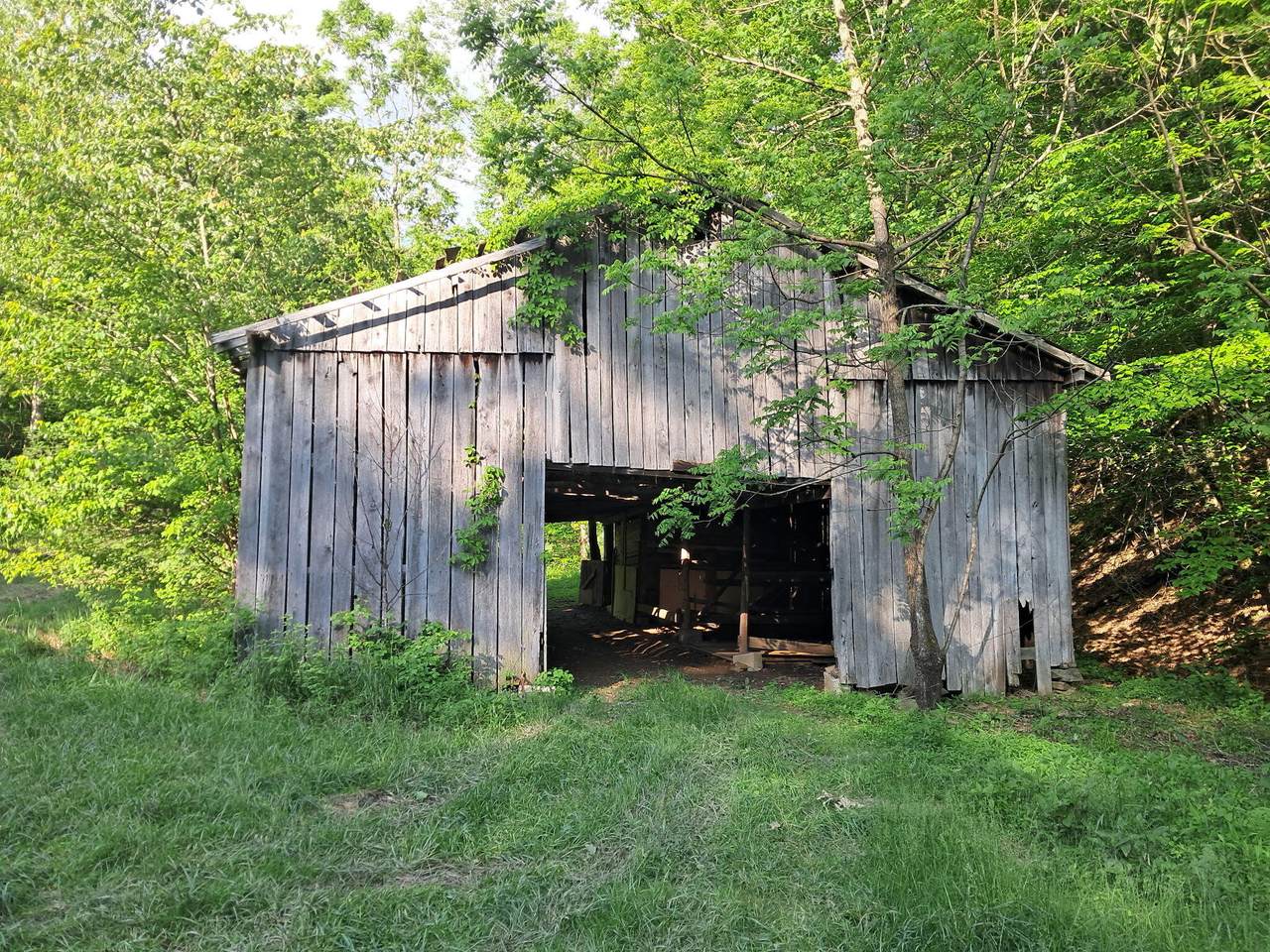0000 Upper Racoon Creek Road - Photo 1