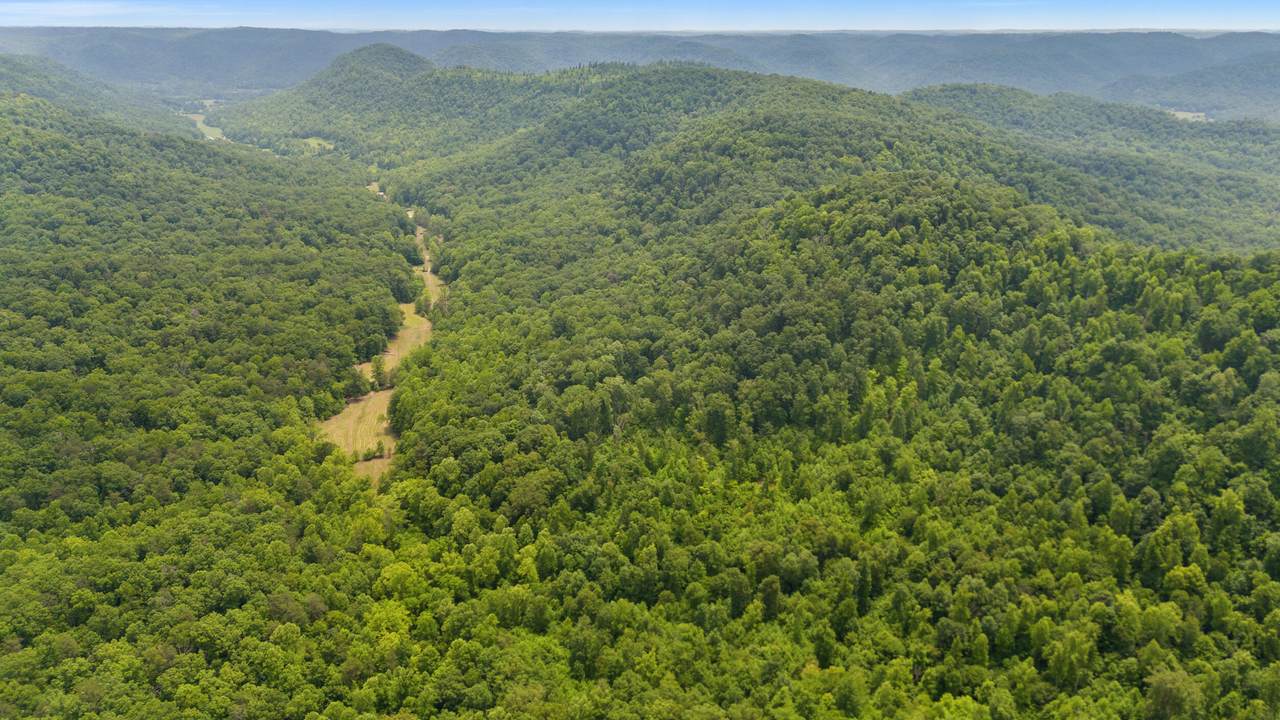 275 Horns River Road Road - Photo 1