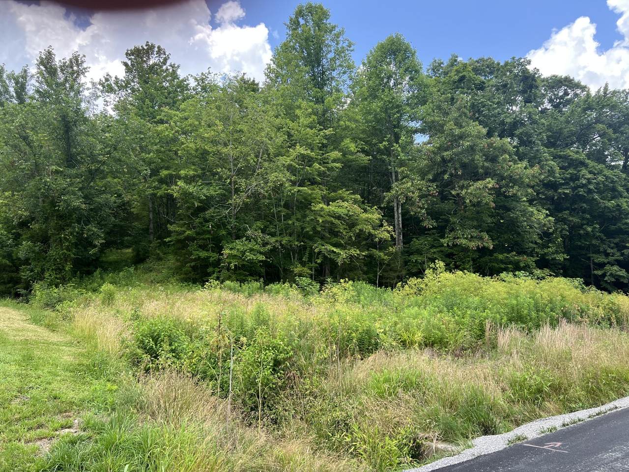 9999 White Oak Road - Photo 1