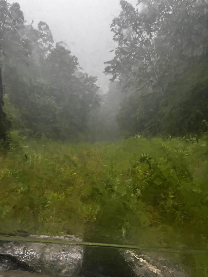 0 Bowling Creek Road - Photo 1