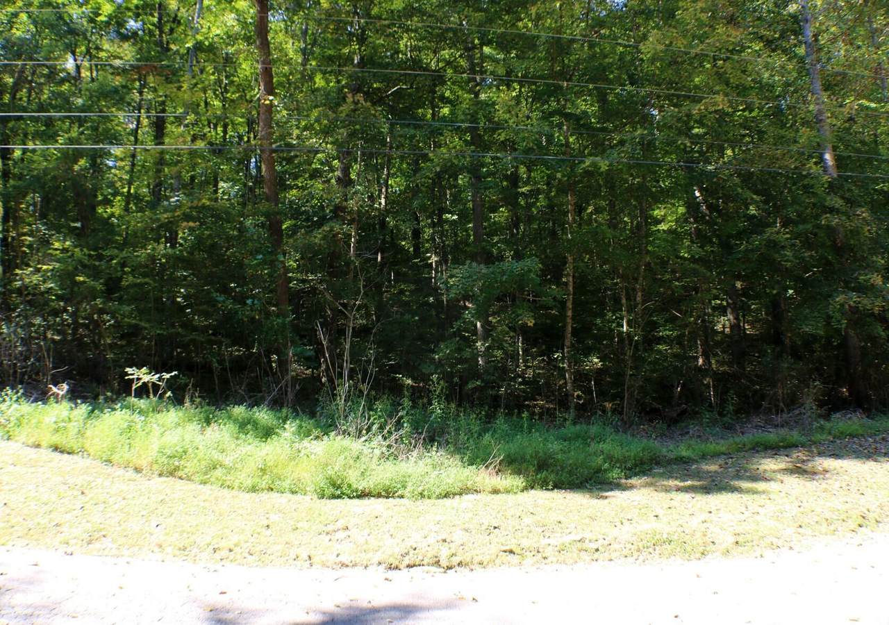 406 Harmony Lane - Photo 1