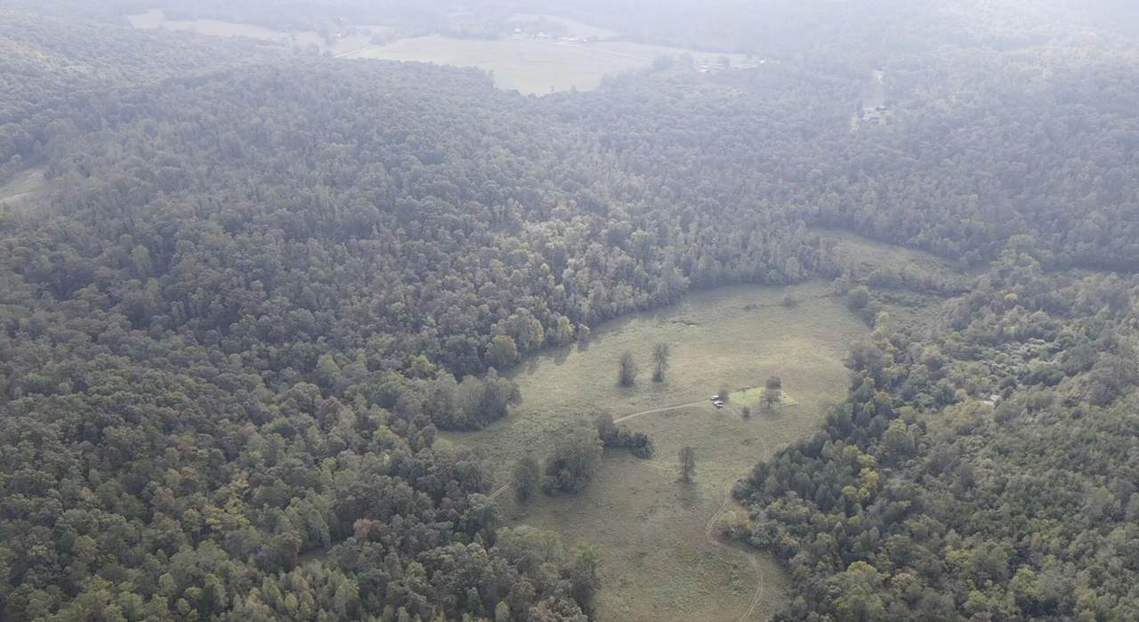 100 Haynes Cemetery Road - Photo 1