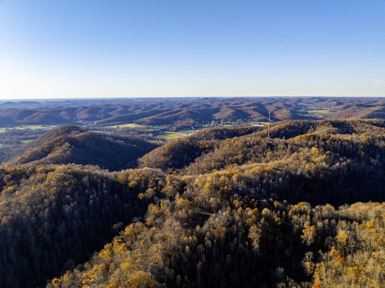 3300 Forestry Ridge Road - Photo 1