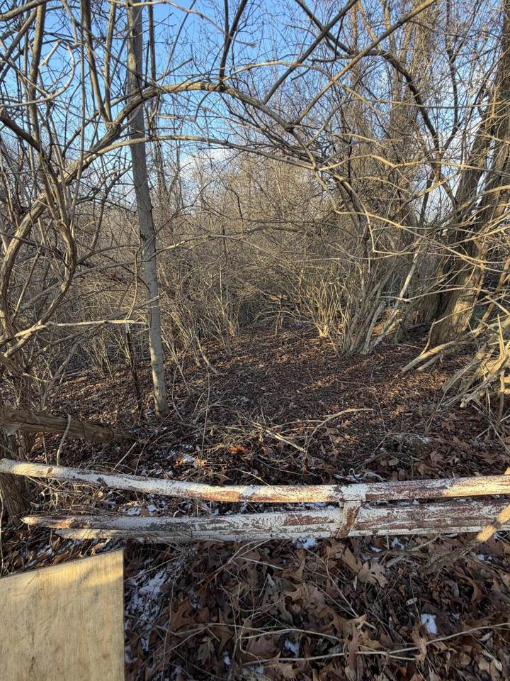 9998 Hurst School Road - Photo 1