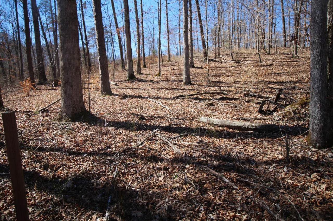 16 Lot 16 Cherry Blossom Circle - Photo 1