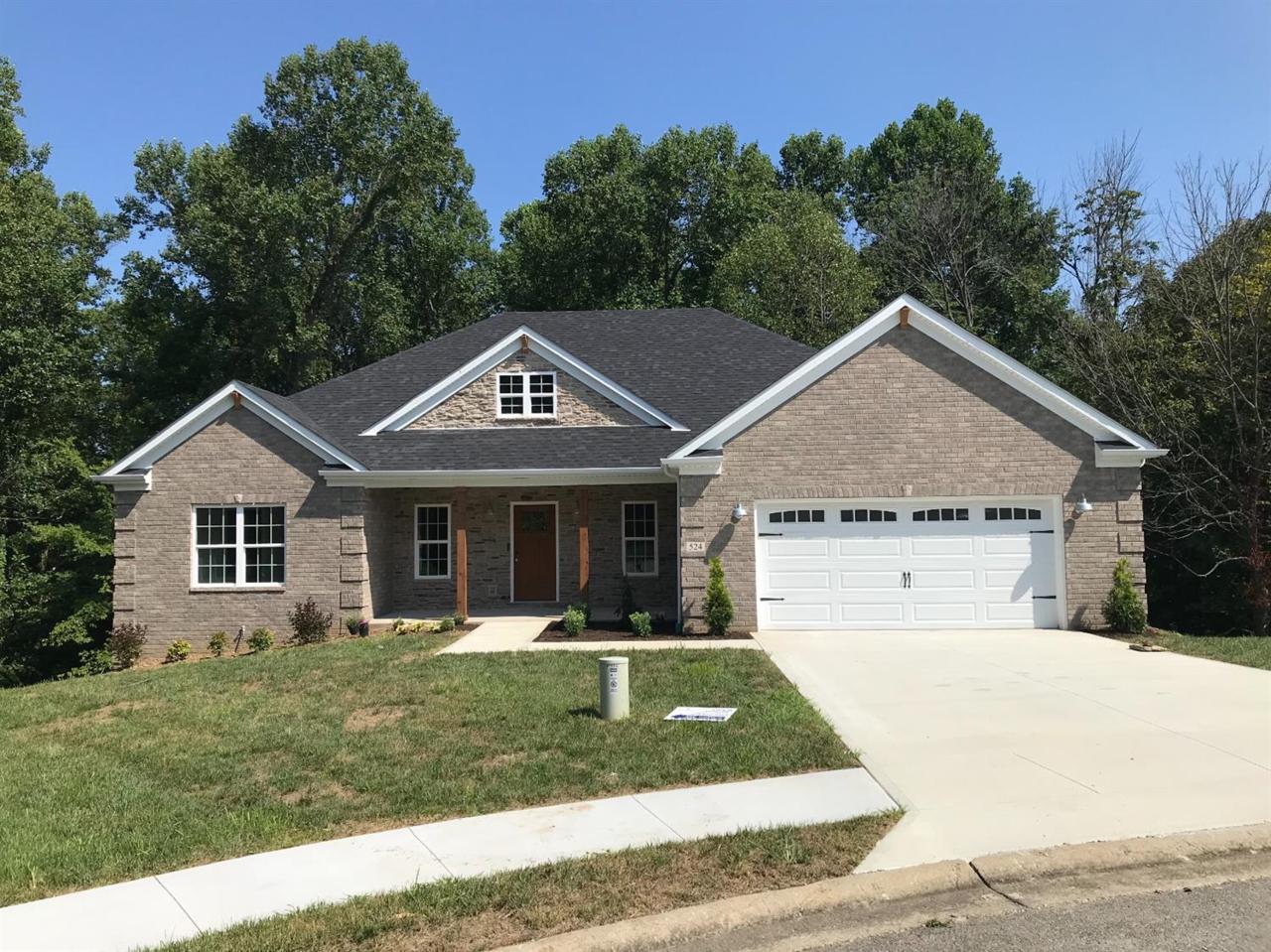 524 Amster Woods Drive - Photo 1