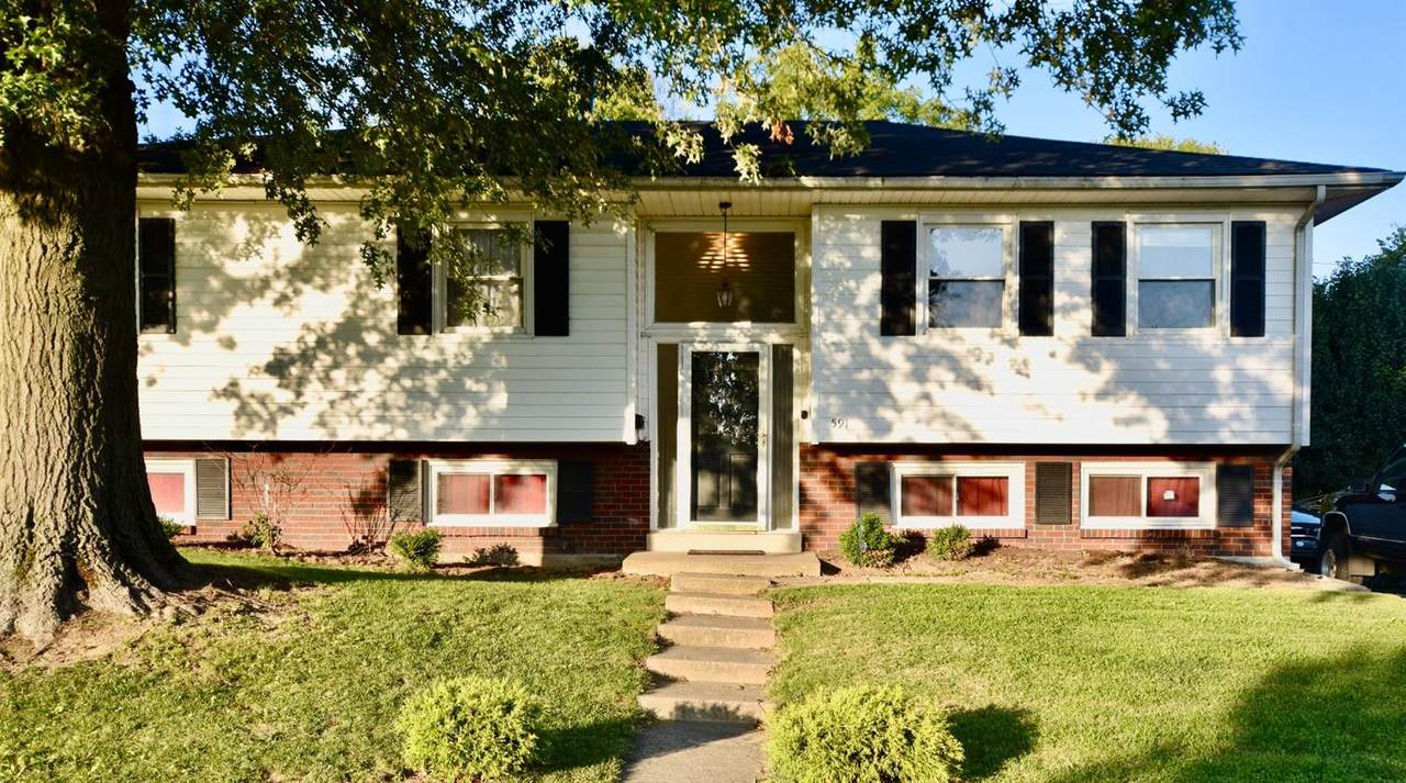 591 Cricklewood Drive - Photo 1